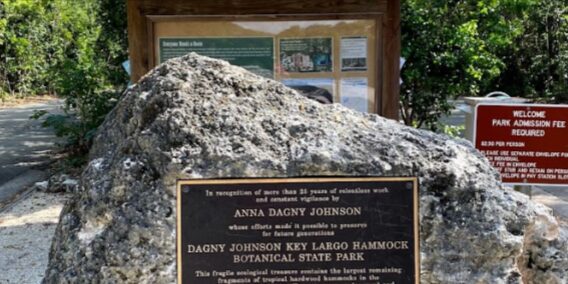 Dagny Johnson Key Largo Hammock Botanical State Park 