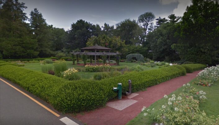 Rose Garden in Elizabeth Park