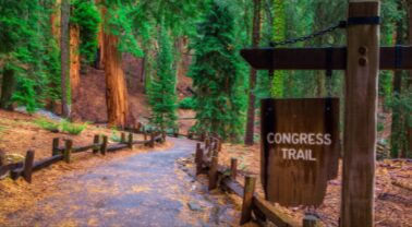 13 Best Hiking Trails In Fresno CA (California)