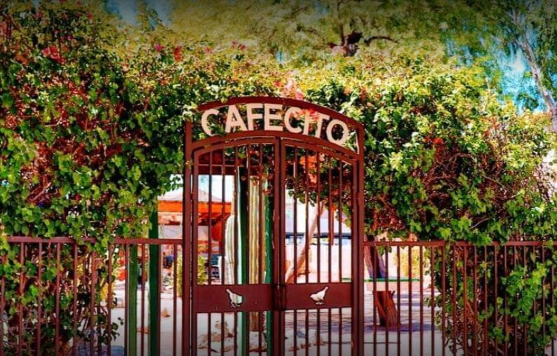 Cafecito Coffee Co