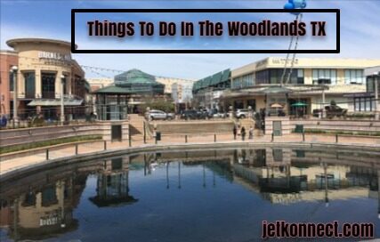 Things To Do In The Woodlands TX 