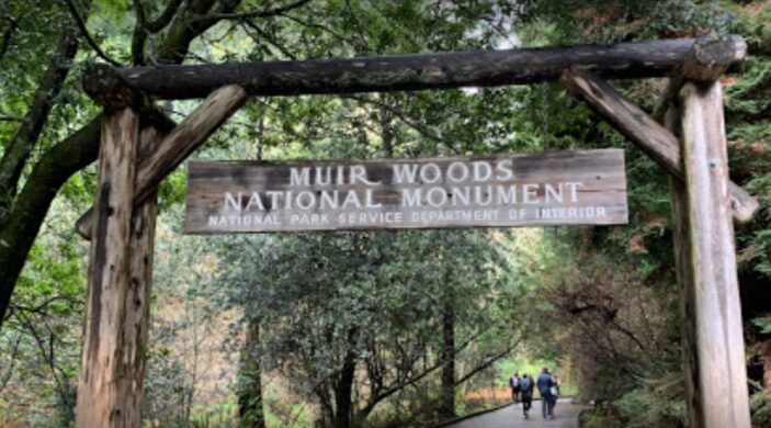 National Monument Muir Woods
