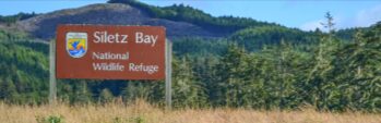 Siletz Bay National Wildlife Refuge